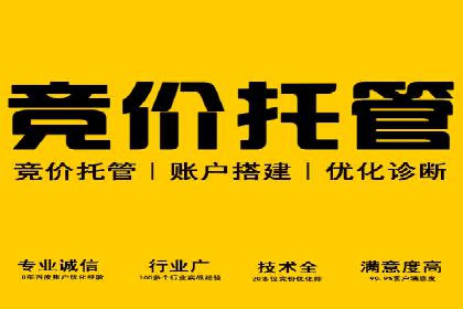 SEM竞价托管代运营助力转化率提升